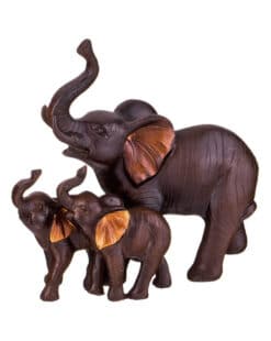 слоны семья