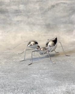 муравей на комод