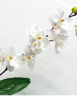 орхидея искусственная белая в гомеле