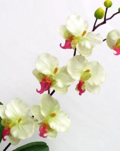 орхидея искусственная белая