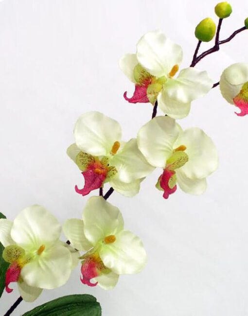 орхидея искусственная белая
