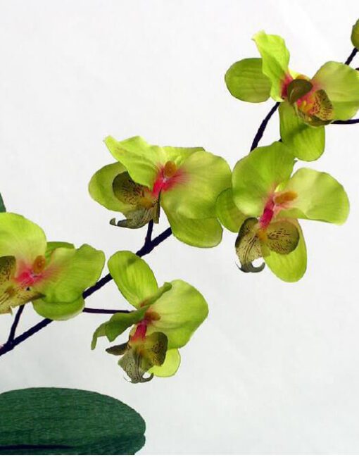 орхидея искусственная салатовая зелёная
