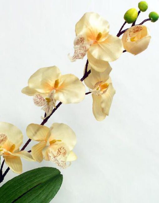 орхидея искусственная кремовая