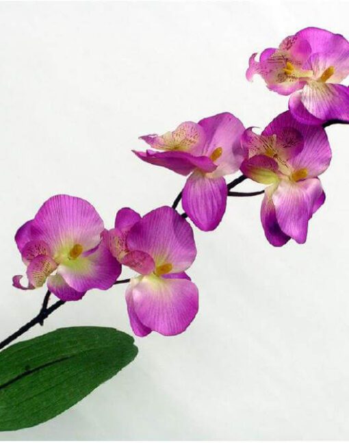 орхидея искусственная оптом в минске