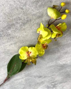 искусственная орхидея высокая в минске