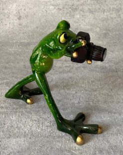 фигурка лягушка с фотоаппаратом в гомеле